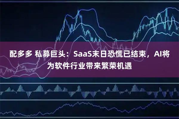 配多多 私募巨头：SaaS末日恐慌已结束，AI将为软件行业带来繁荣机遇